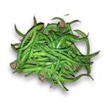 Păstăi