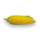 Porumb zaharat